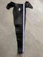 画像6: スモールクロコ（ポロサス） 尻尾　ブラック　 (6)