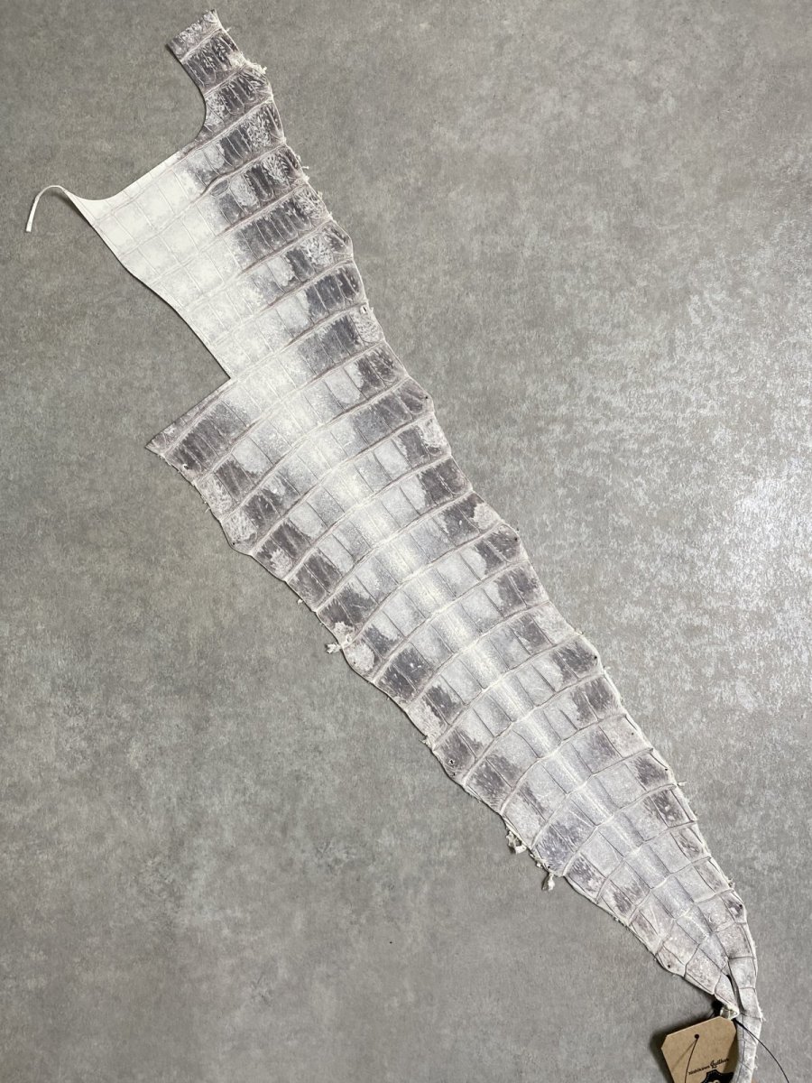 画像1: ヒマラヤクロコダイル　ナチュラル　尻尾　ワニ革　ナイルクロコダイル　クロコダイル革　エキゾチックレザー　 (1)