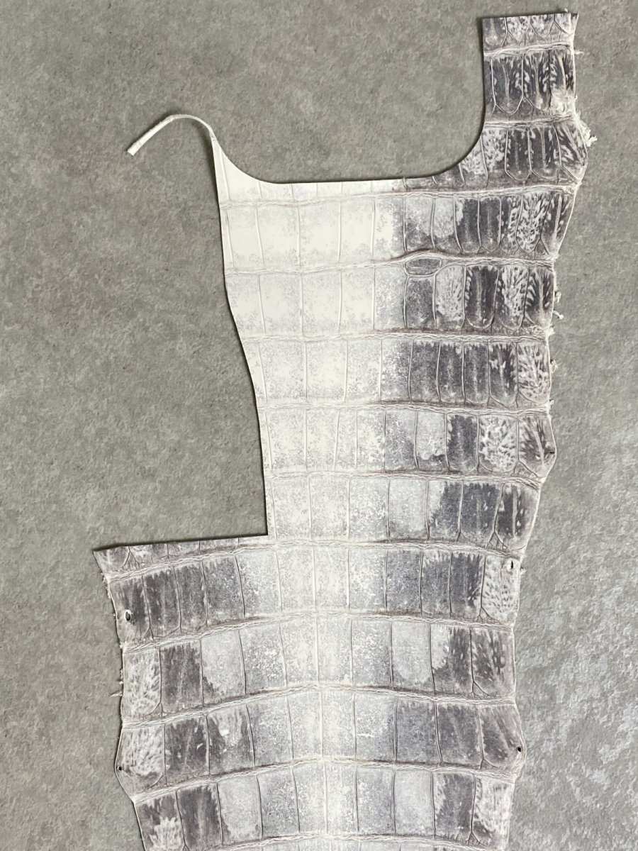 画像2: ヒマラヤクロコダイル　ナチュラル　尻尾　ワニ革　ナイルクロコダイル　クロコダイル革　エキゾチックレザー　 (2)