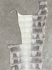 画像2: ヒマラヤクロコダイル　ナチュラル　尻尾　ワニ革　ナイルクロコダイル　クロコダイル革　エキゾチックレザー　 (2)