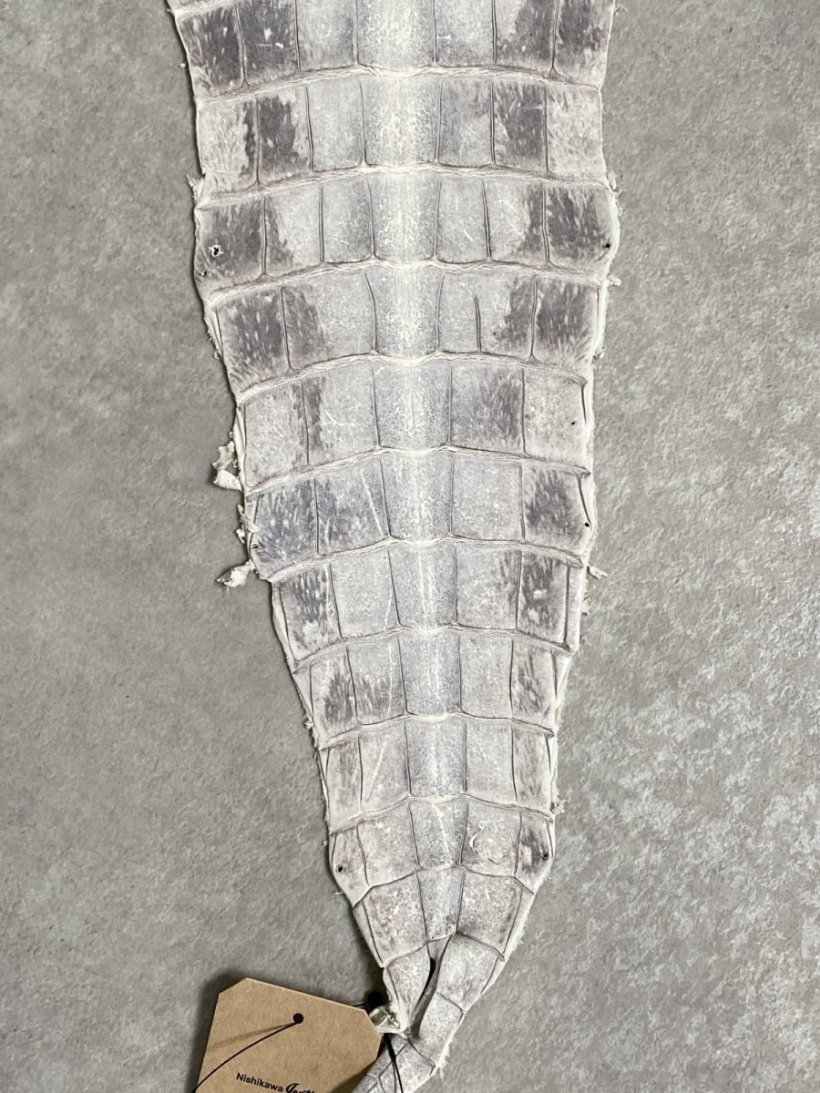 画像3: ヒマラヤクロコダイル　ナチュラル　尻尾　ワニ革　ナイルクロコダイル　クロコダイル革　エキゾチックレザー　 (3)