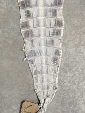 画像3: ヒマラヤクロコダイル　ナチュラル　尻尾　ワニ革　ナイルクロコダイル　クロコダイル革　エキゾチックレザー　 (3)