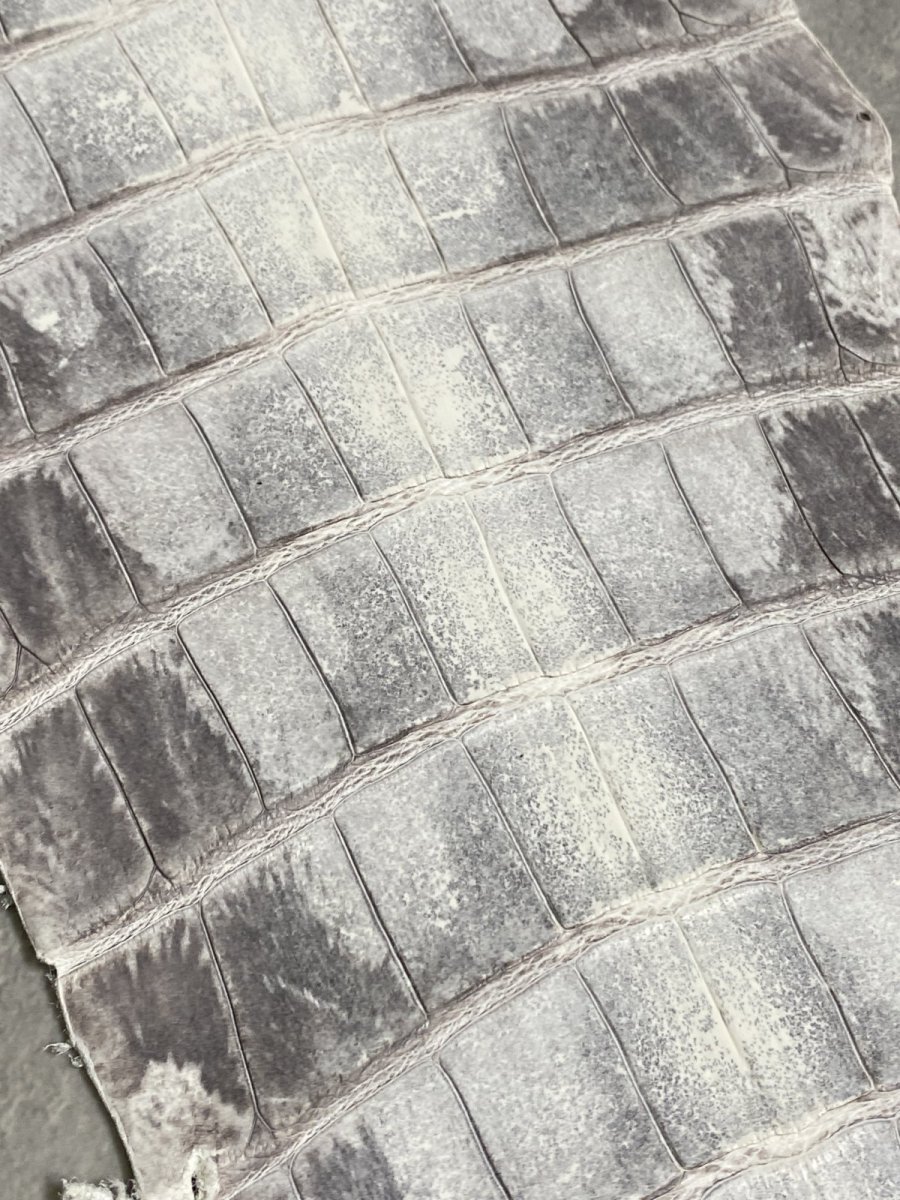 画像4: ヒマラヤクロコダイル　ナチュラル　尻尾　ワニ革　ナイルクロコダイル　クロコダイル革　エキゾチックレザー　 (4)