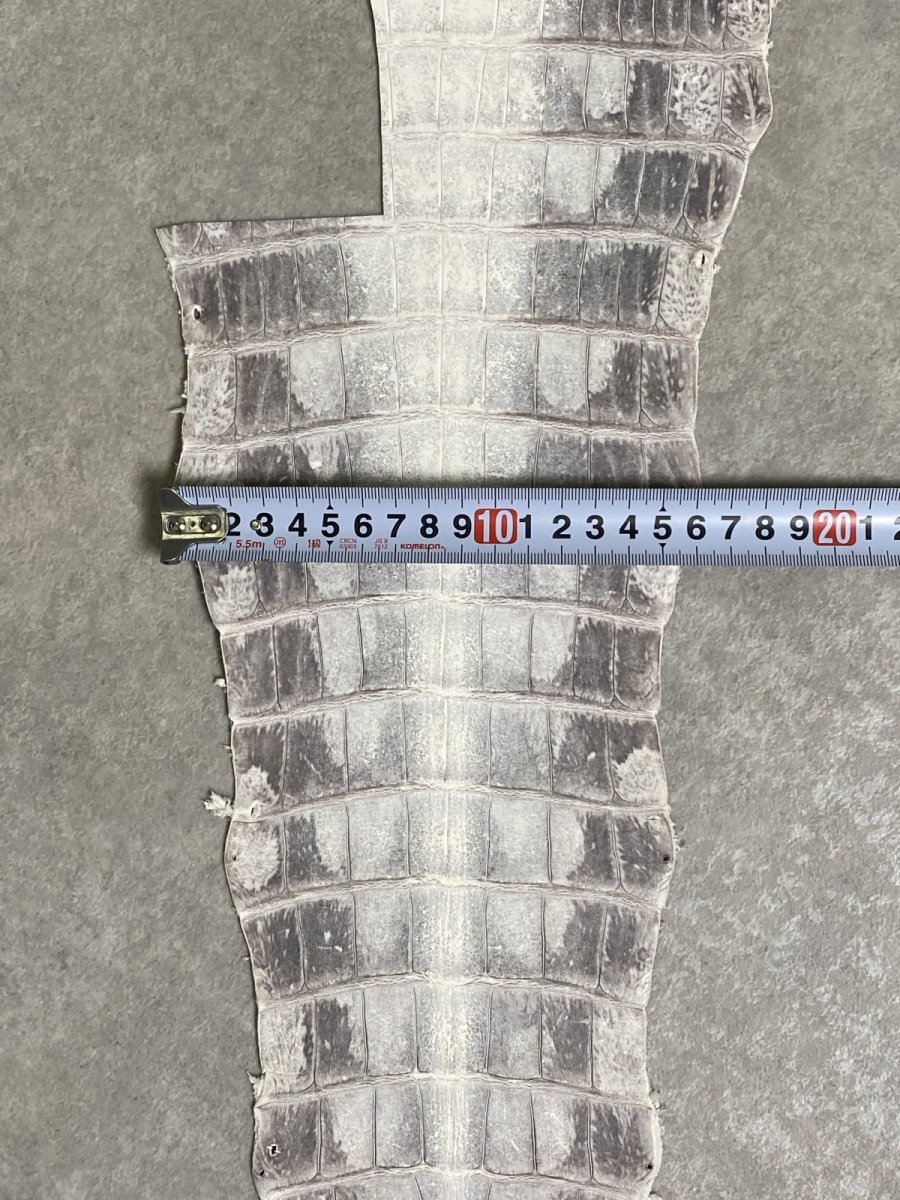 画像6: ヒマラヤクロコダイル　ナチュラル　尻尾　ワニ革　ナイルクロコダイル　クロコダイル革　エキゾチックレザー　 (6)