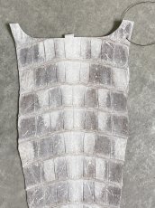 画像2: ヒマラヤクロコダイル　ナチュラル　尻尾　ワニ革　ナイルクロコダイル　クロコダイル革　エキゾチックレザー　 (2)