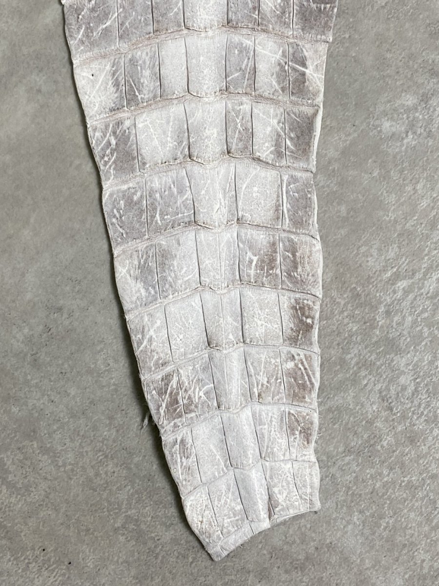 画像3: ヒマラヤクロコダイル　ナチュラル　尻尾　ワニ革　ナイルクロコダイル　クロコダイル革　エキゾチックレザー　 (3)
