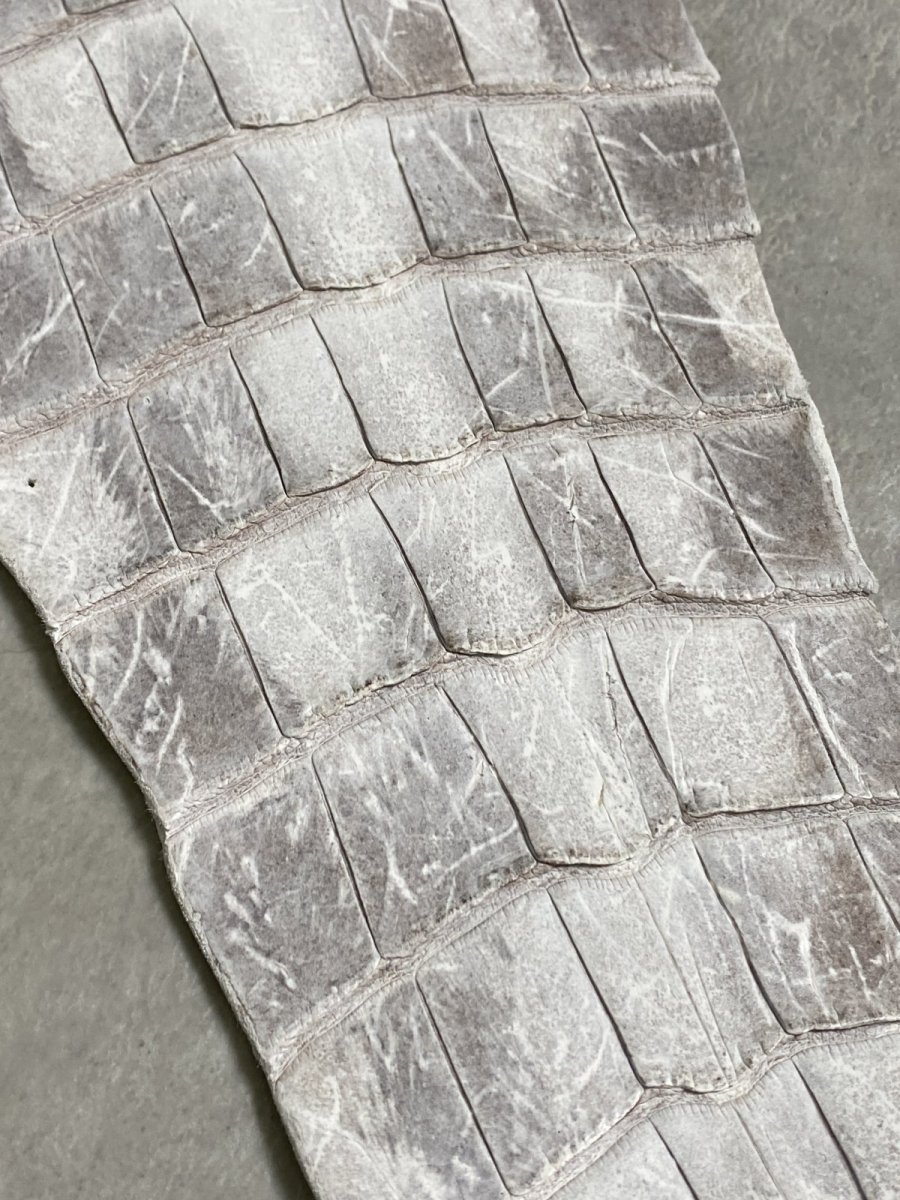 画像4: ヒマラヤクロコダイル　ナチュラル　尻尾　ワニ革　ナイルクロコダイル　クロコダイル革　エキゾチックレザー　 (4)