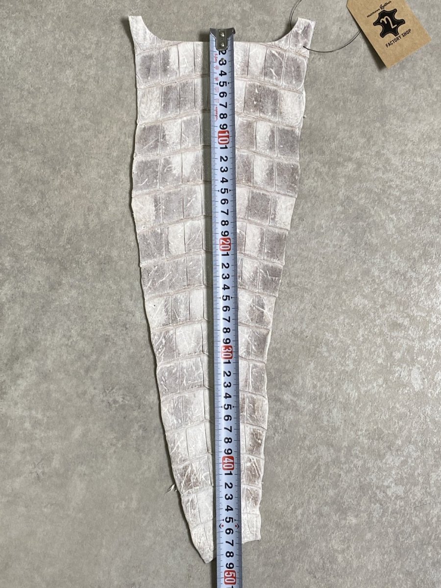 画像5: ヒマラヤクロコダイル　ナチュラル　尻尾　ワニ革　ナイルクロコダイル　クロコダイル革　エキゾチックレザー　 (5)