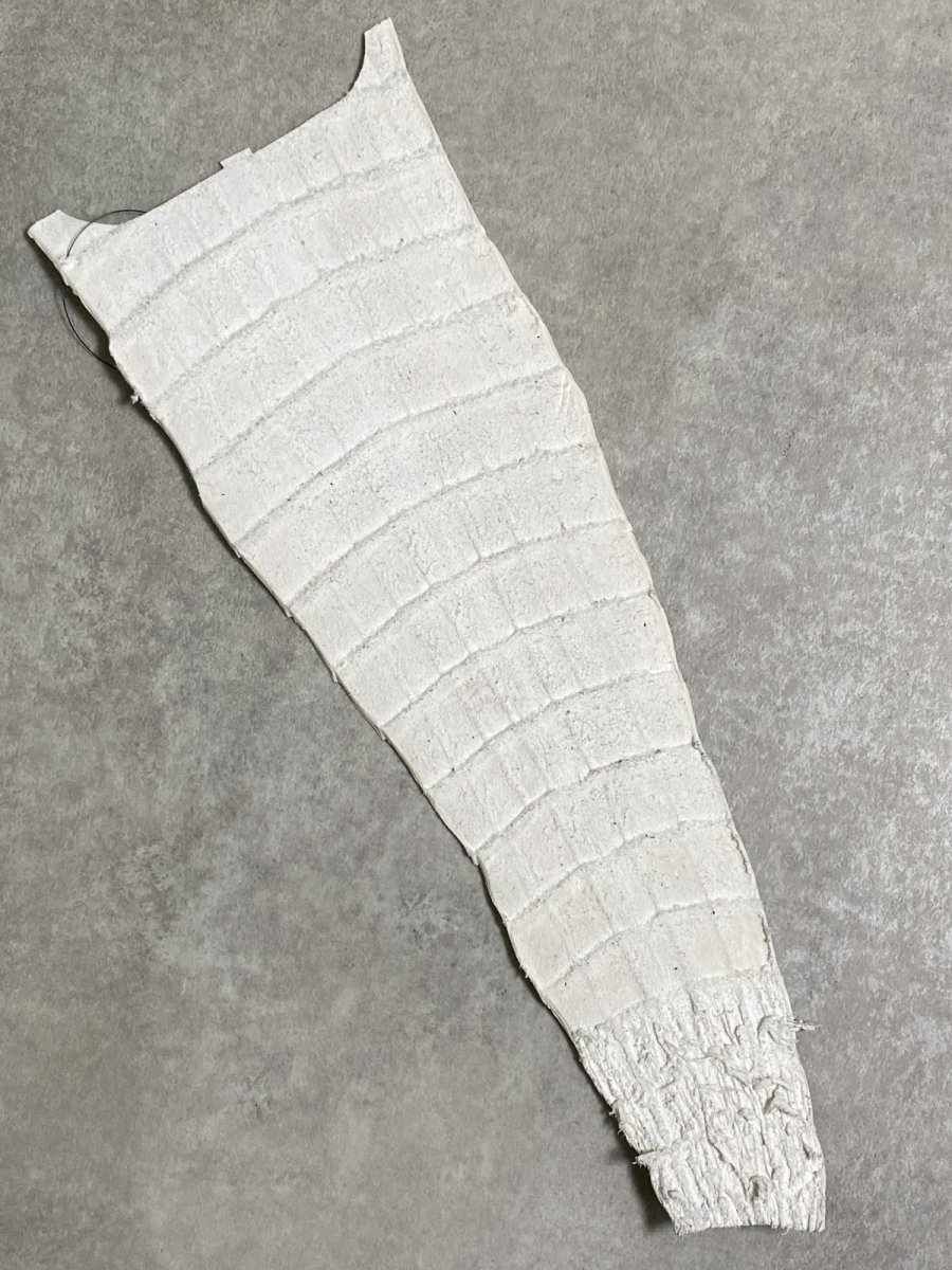 画像7: ヒマラヤクロコダイル　ナチュラル　尻尾　ワニ革　ナイルクロコダイル　クロコダイル革　エキゾチックレザー　 (7)