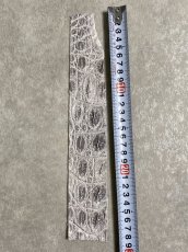 画像3: ヒマラヤクロコ 　ベリー　ナチュラル (3)