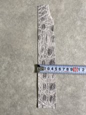 画像4: ヒマラヤクロコ 　ベリー　ナチュラル (4)