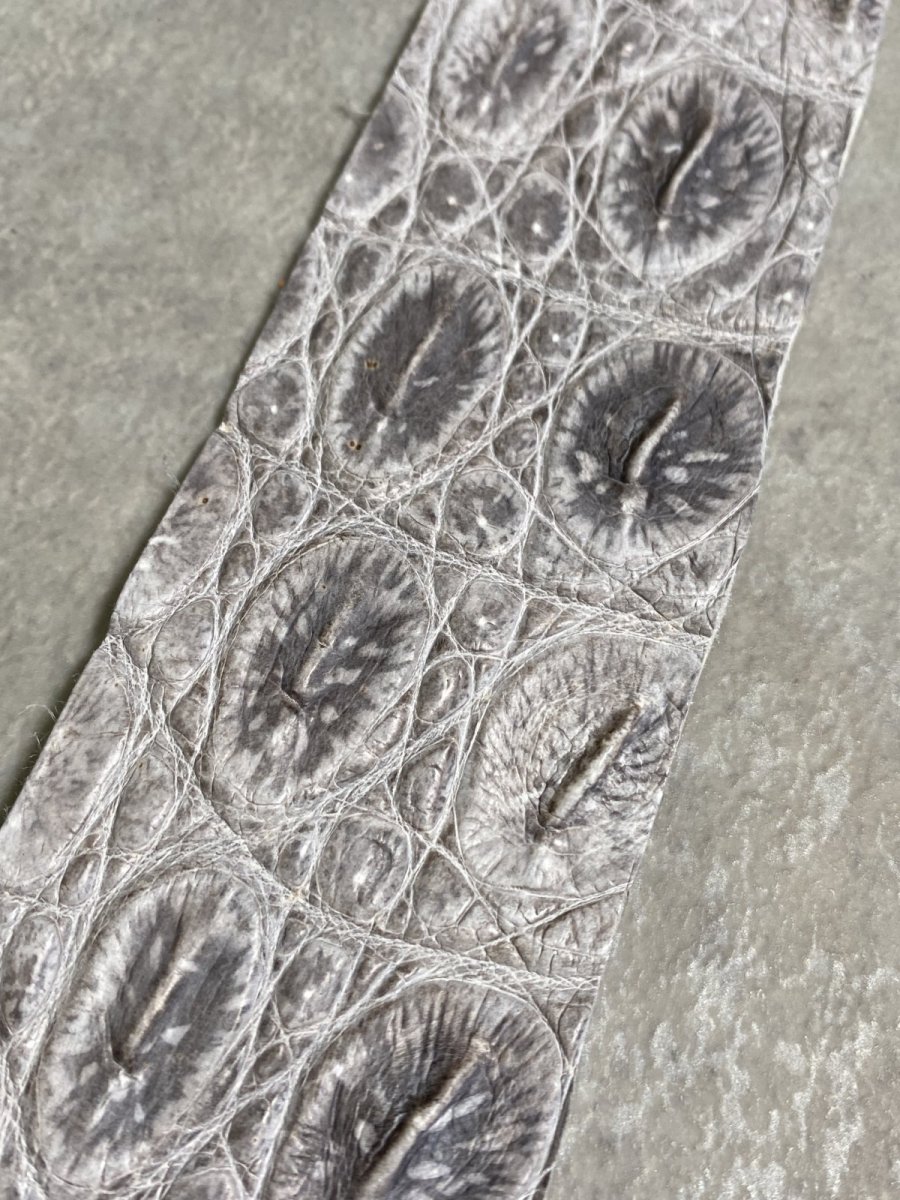 画像2: ヒマラヤクロコ 　ベリー　ナチュラル (2)