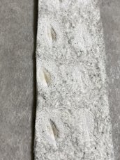 画像6: ヒマラヤクロコ 　ベリー　ナチュラル (6)