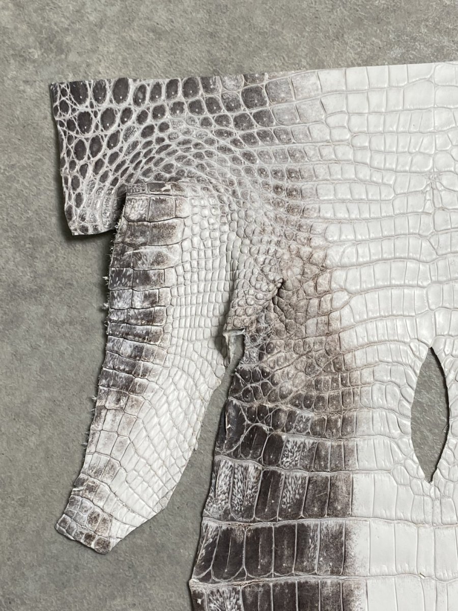 画像2: ヒマラヤクロコダイル　ナチュラル　尻尾　ワニ革　ナイルクロコダイル　クロコダイル革　エキゾチックレザー　 (2)