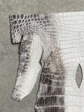 画像2: ヒマラヤクロコダイル　ナチュラル　尻尾　ワニ革　ナイルクロコダイル　クロコダイル革　エキゾチックレザー　 (2)