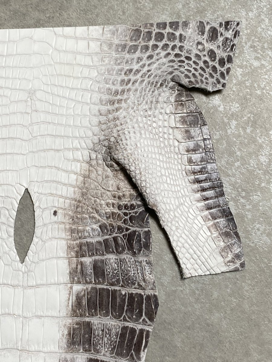 画像3: ヒマラヤクロコダイル　ナチュラル　尻尾　ワニ革　ナイルクロコダイル　クロコダイル革　エキゾチックレザー　 (3)