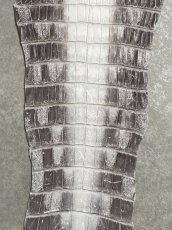 画像4: ヒマラヤクロコダイル　ナチュラル　尻尾　ワニ革　ナイルクロコダイル　クロコダイル革　エキゾチックレザー　 (4)