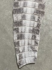 画像5: ヒマラヤクロコダイル　ナチュラル　尻尾　ワニ革　ナイルクロコダイル　クロコダイル革　エキゾチックレザー　 (5)