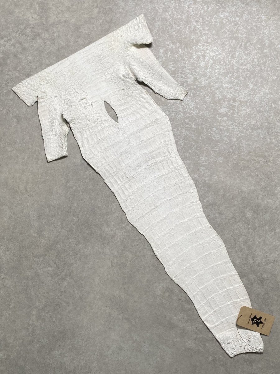 画像8: ヒマラヤクロコダイル　ナチュラル　尻尾　ワニ革　ナイルクロコダイル　クロコダイル革　エキゾチックレザー　 (8)