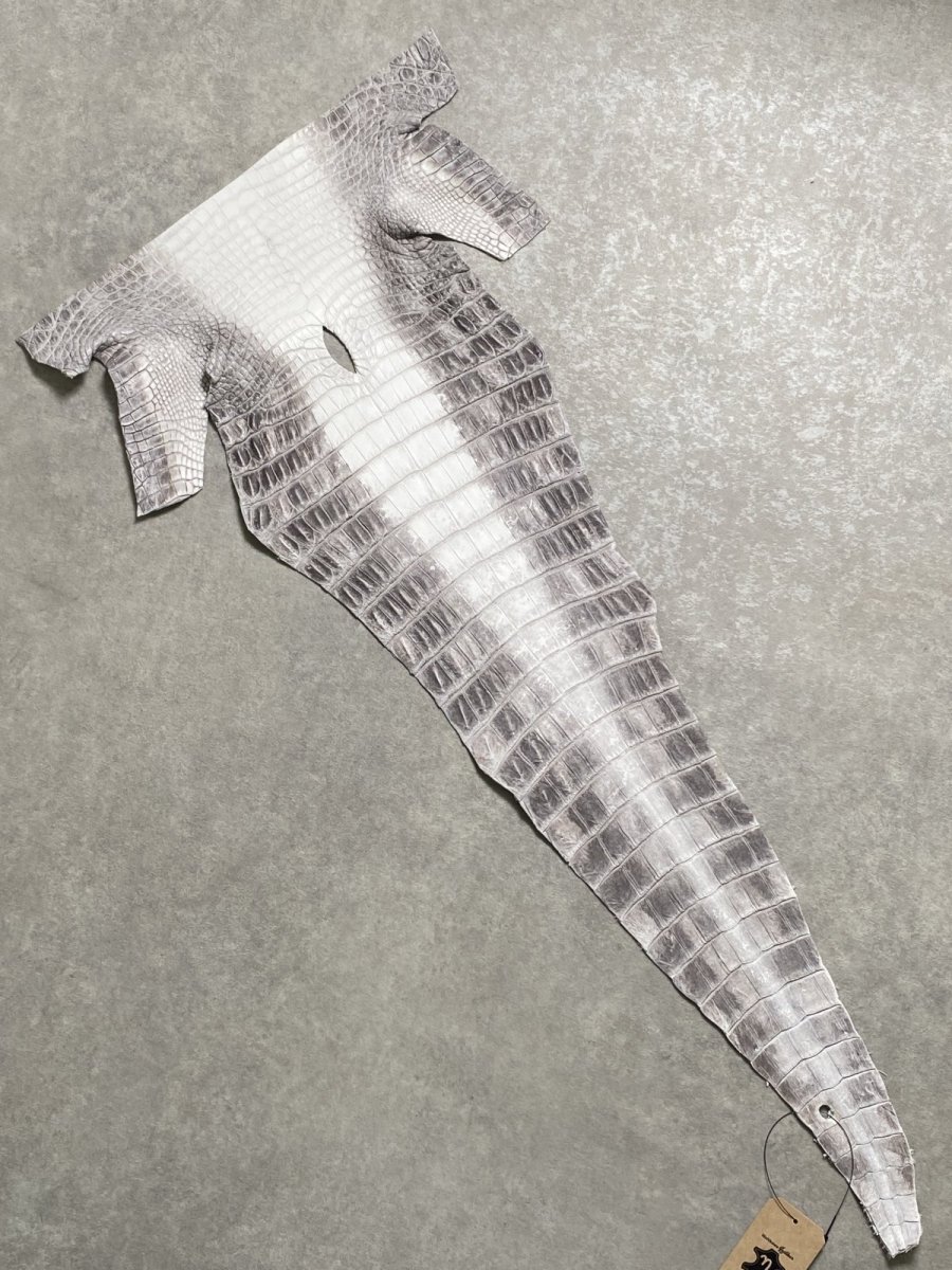 画像1: ヒマラヤクロコダイル　ナチュラル　尻尾　ワニ革　ナイルクロコダイル　クロコダイル革　エキゾチックレザー　 (1)