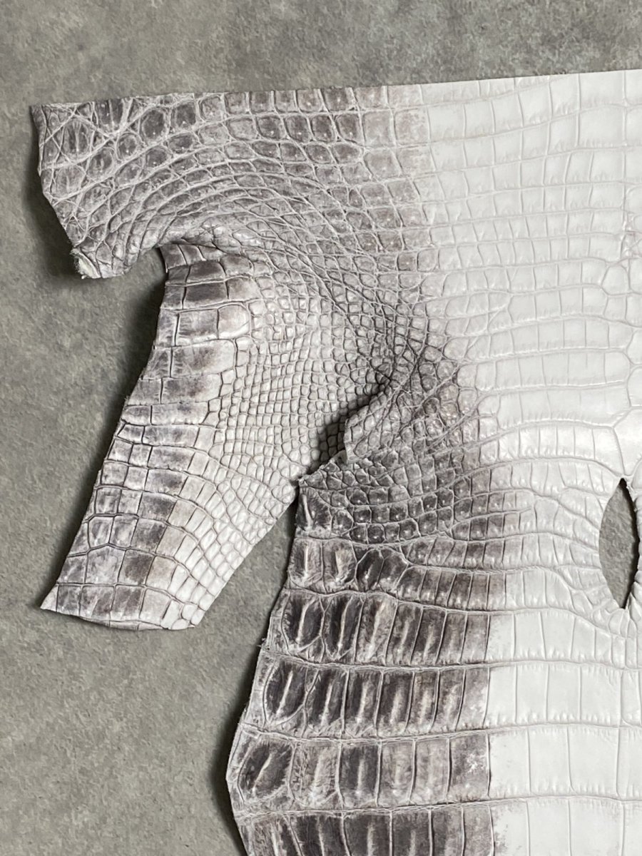 画像2: ヒマラヤクロコダイル　ナチュラル　尻尾　ワニ革　ナイルクロコダイル　クロコダイル革　エキゾチックレザー　 (2)