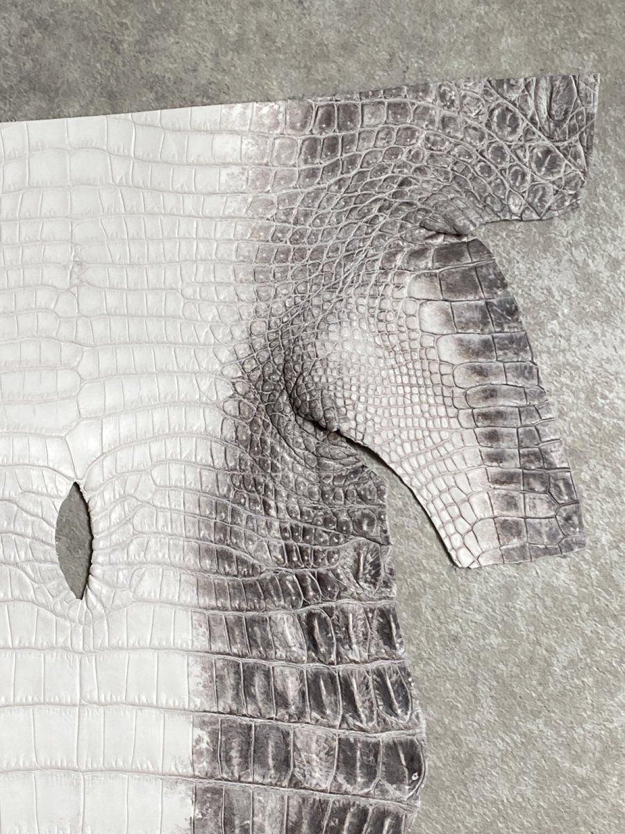 画像3: ヒマラヤクロコダイル　ナチュラル　尻尾　ワニ革　ナイルクロコダイル　クロコダイル革　エキゾチックレザー　 (3)