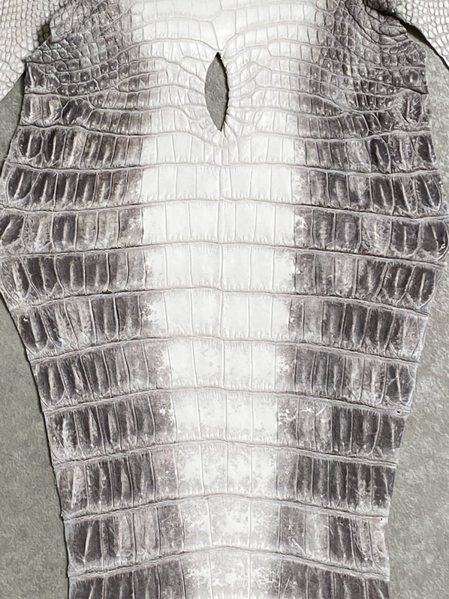 画像4: ヒマラヤクロコダイル　ナチュラル　尻尾　ワニ革　ナイルクロコダイル　クロコダイル革　エキゾチックレザー　 (4)