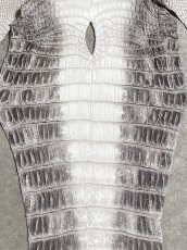 画像4: ヒマラヤクロコダイル　ナチュラル　尻尾　ワニ革　ナイルクロコダイル　クロコダイル革　エキゾチックレザー　 (4)