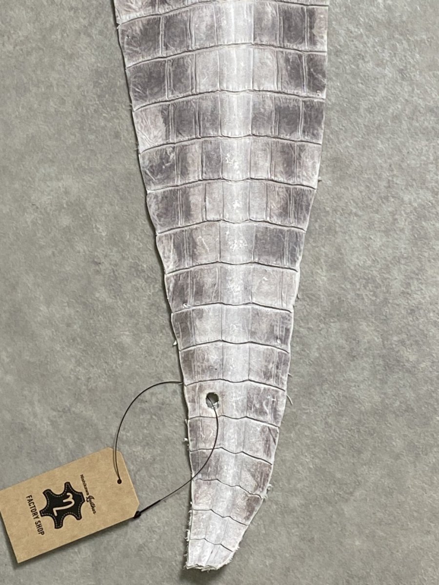 画像5: ヒマラヤクロコダイル　ナチュラル　尻尾　ワニ革　ナイルクロコダイル　クロコダイル革　エキゾチックレザー　 (5)