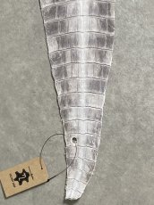 画像5: ヒマラヤクロコダイル　ナチュラル　尻尾　ワニ革　ナイルクロコダイル　クロコダイル革　エキゾチックレザー　 (5)