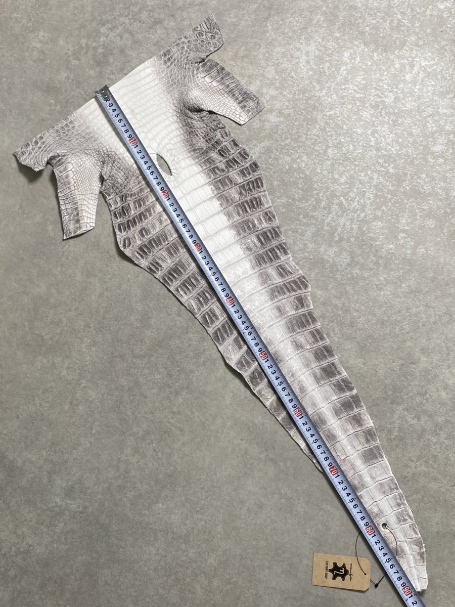 画像6: ヒマラヤクロコダイル　ナチュラル　尻尾　ワニ革　ナイルクロコダイル　クロコダイル革　エキゾチックレザー　 (6)