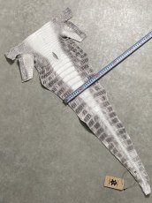 画像7: ヒマラヤクロコダイル　ナチュラル　尻尾　ワニ革　ナイルクロコダイル　クロコダイル革　エキゾチックレザー　 (7)