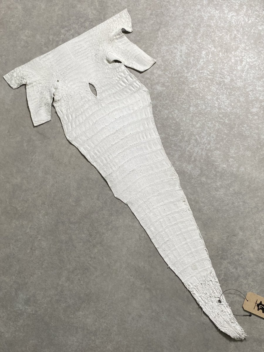 画像8: ヒマラヤクロコダイル　ナチュラル　尻尾　ワニ革　ナイルクロコダイル　クロコダイル革　エキゾチックレザー　 (8)