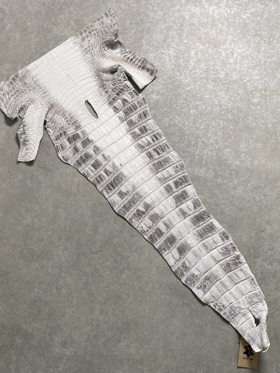 画像1: ヒマラヤクロコダイル　ナチュラル　尻尾　ワニ革　ナイルクロコダイル　クロコダイル革　エキゾチックレザー　 (1)