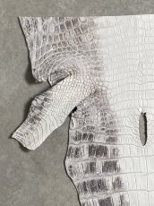 画像2: ヒマラヤクロコダイル　ナチュラル　尻尾　ワニ革　ナイルクロコダイル　クロコダイル革　エキゾチックレザー　 (2)