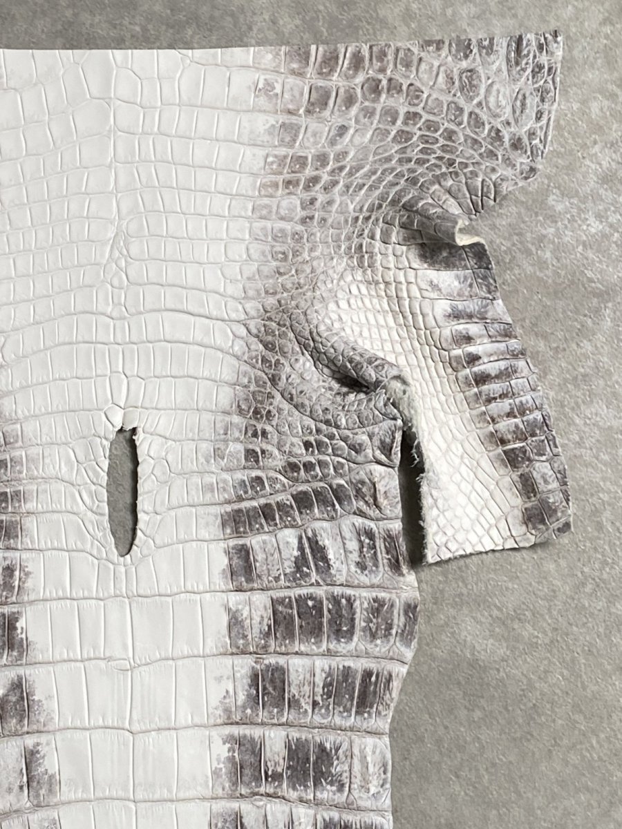 画像3: ヒマラヤクロコダイル　ナチュラル　尻尾　ワニ革　ナイルクロコダイル　クロコダイル革　エキゾチックレザー　 (3)