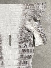 画像3: ヒマラヤクロコダイル　ナチュラル　尻尾　ワニ革　ナイルクロコダイル　クロコダイル革　エキゾチックレザー　 (3)