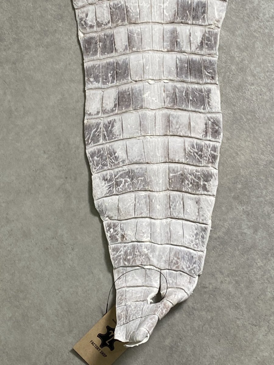 画像5: ヒマラヤクロコダイル　ナチュラル　尻尾　ワニ革　ナイルクロコダイル　クロコダイル革　エキゾチックレザー　 (5)