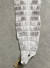 画像5: ヒマラヤクロコダイル　ナチュラル　尻尾　ワニ革　ナイルクロコダイル　クロコダイル革　エキゾチックレザー　 (5)