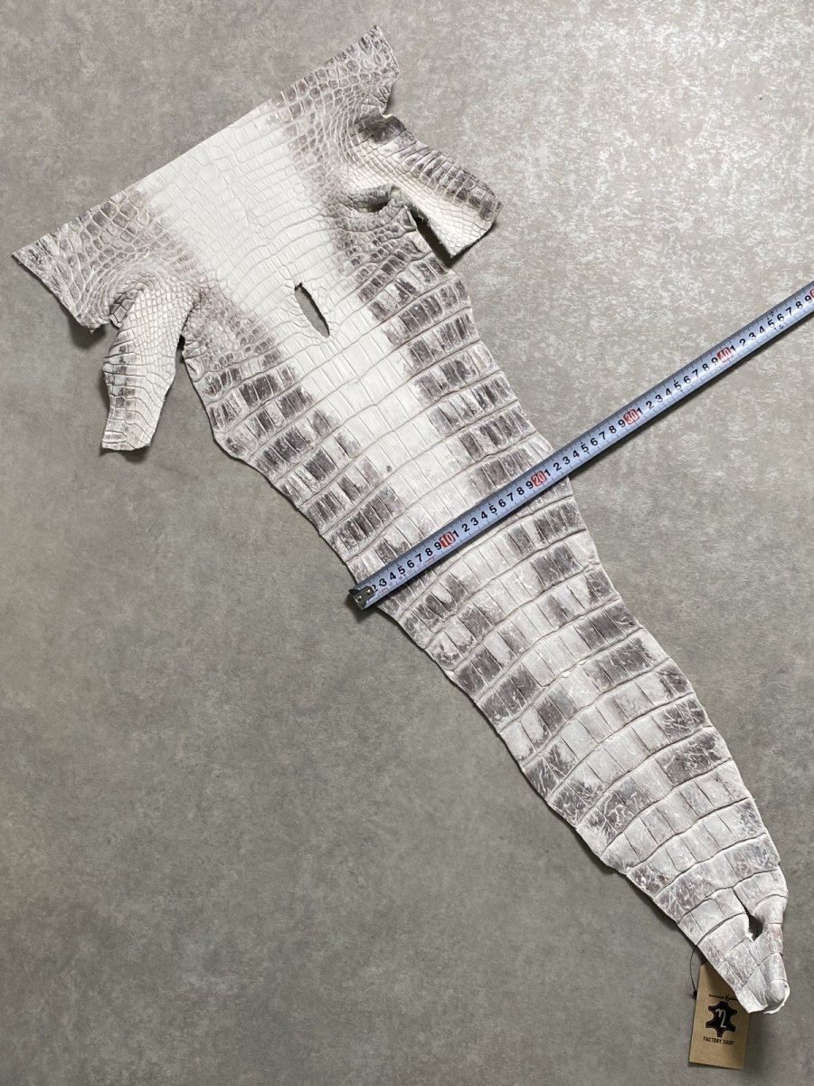 画像7: ヒマラヤクロコダイル　ナチュラル　尻尾　ワニ革　ナイルクロコダイル　クロコダイル革　エキゾチックレザー　 (7)