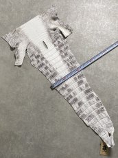 画像7: ヒマラヤクロコダイル　ナチュラル　尻尾　ワニ革　ナイルクロコダイル　クロコダイル革　エキゾチックレザー　 (7)