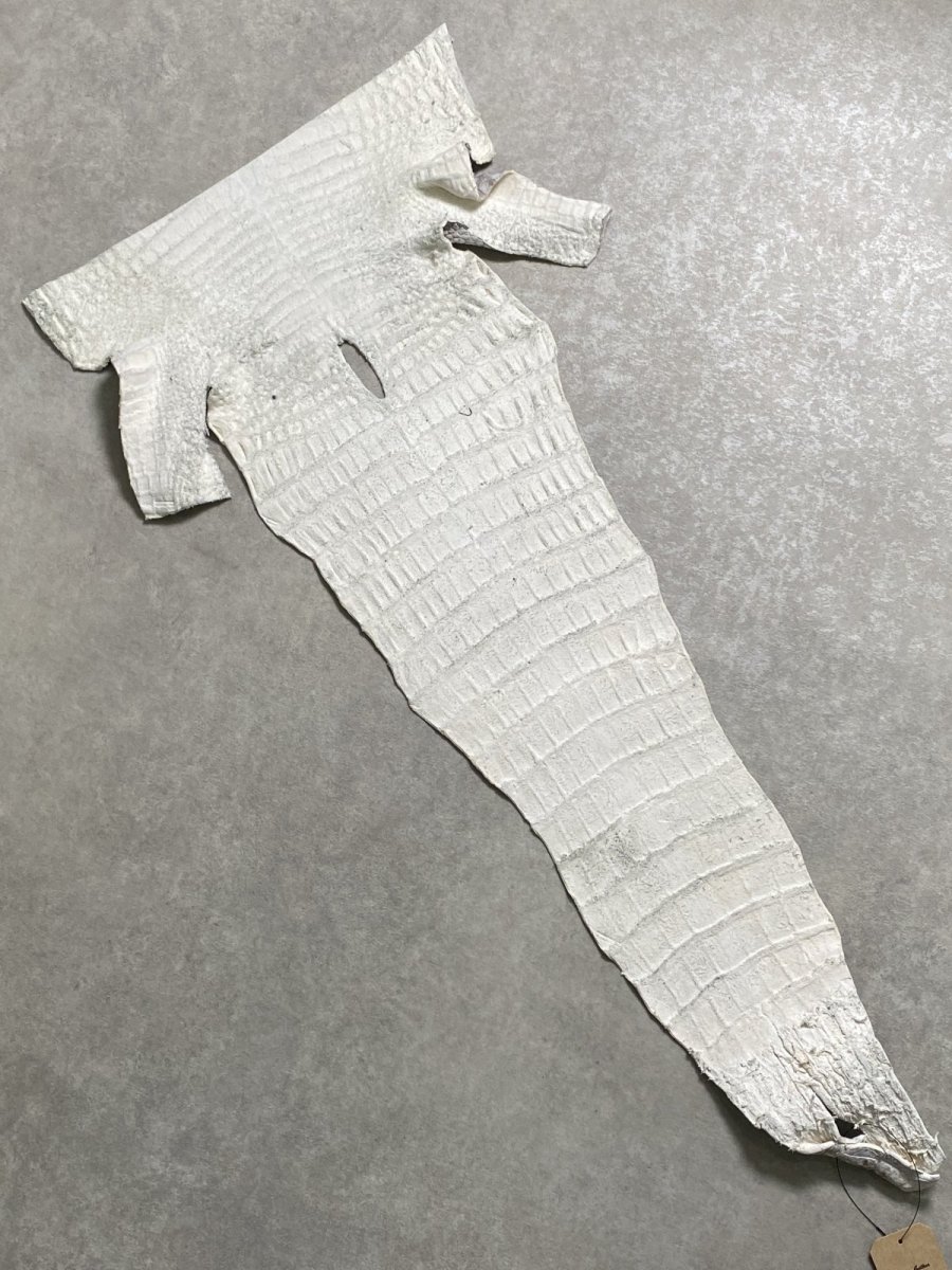 画像8: ヒマラヤクロコダイル　ナチュラル　尻尾　ワニ革　ナイルクロコダイル　クロコダイル革　エキゾチックレザー　 (8)