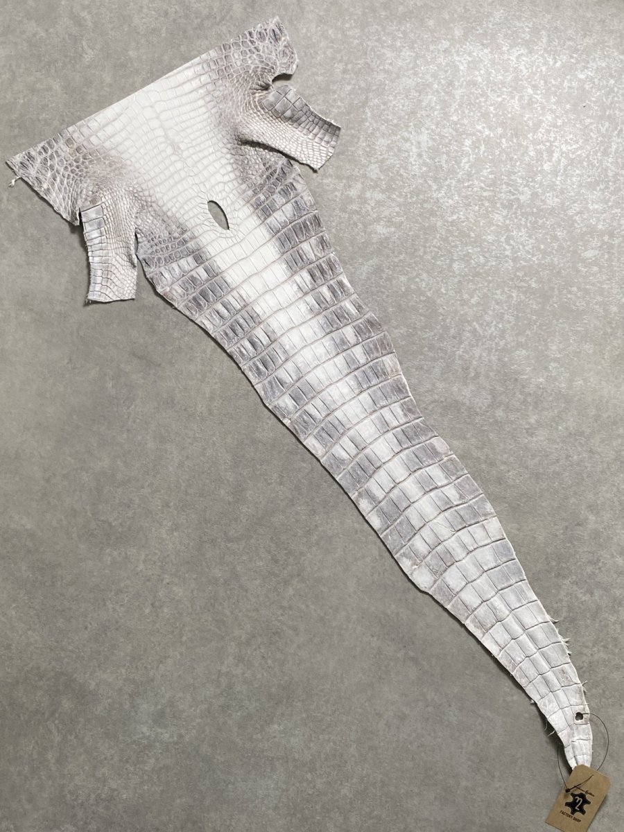 画像1: ヒマラヤクロコダイル　ナチュラル　尻尾　ワニ革　ナイルクロコダイル　クロコダイル革　エキゾチックレザー　 (1)