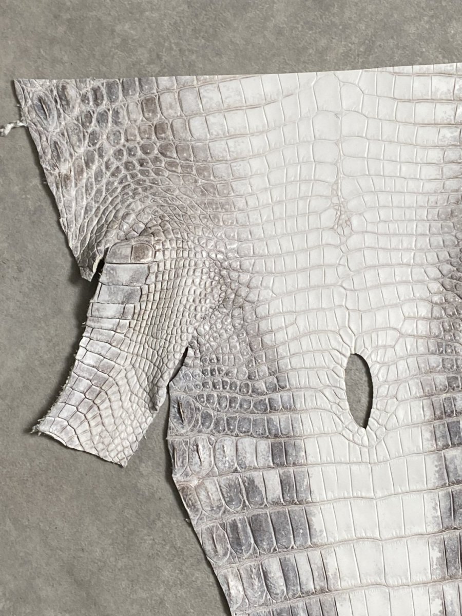 画像2: ヒマラヤクロコダイル　ナチュラル　尻尾　ワニ革　ナイルクロコダイル　クロコダイル革　エキゾチックレザー　 (2)