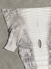 画像2: ヒマラヤクロコダイル　ナチュラル　尻尾　ワニ革　ナイルクロコダイル　クロコダイル革　エキゾチックレザー　 (2)