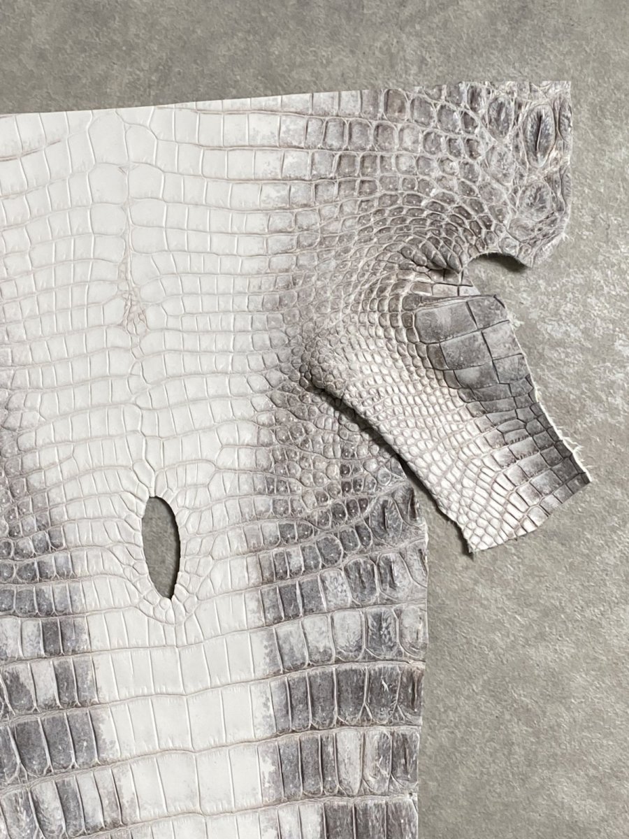 画像3: ヒマラヤクロコダイル　ナチュラル　尻尾　ワニ革　ナイルクロコダイル　クロコダイル革　エキゾチックレザー　 (3)