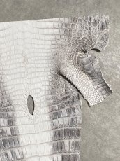 画像3: ヒマラヤクロコダイル　ナチュラル　尻尾　ワニ革　ナイルクロコダイル　クロコダイル革　エキゾチックレザー　 (3)