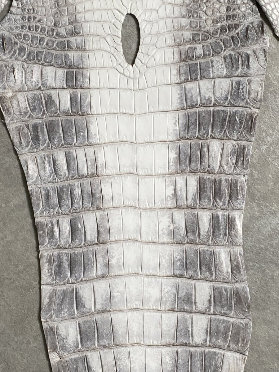 画像4: ヒマラヤクロコダイル　ナチュラル　尻尾　ワニ革　ナイルクロコダイル　クロコダイル革　エキゾチックレザー　 (4)