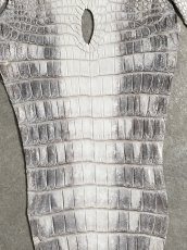 画像4: ヒマラヤクロコダイル　ナチュラル　尻尾　ワニ革　ナイルクロコダイル　クロコダイル革　エキゾチックレザー　 (4)