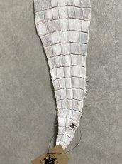 画像5: ヒマラヤクロコダイル　ナチュラル　尻尾　ワニ革　ナイルクロコダイル　クロコダイル革　エキゾチックレザー　 (5)